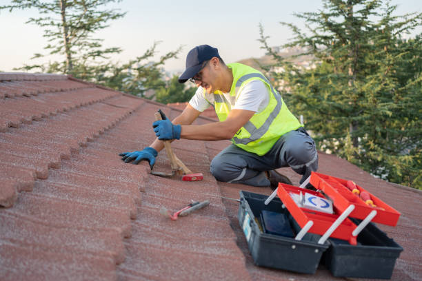 Quick and Trustworthy Emergency Roof Repair Services in Pine Canyon, CA